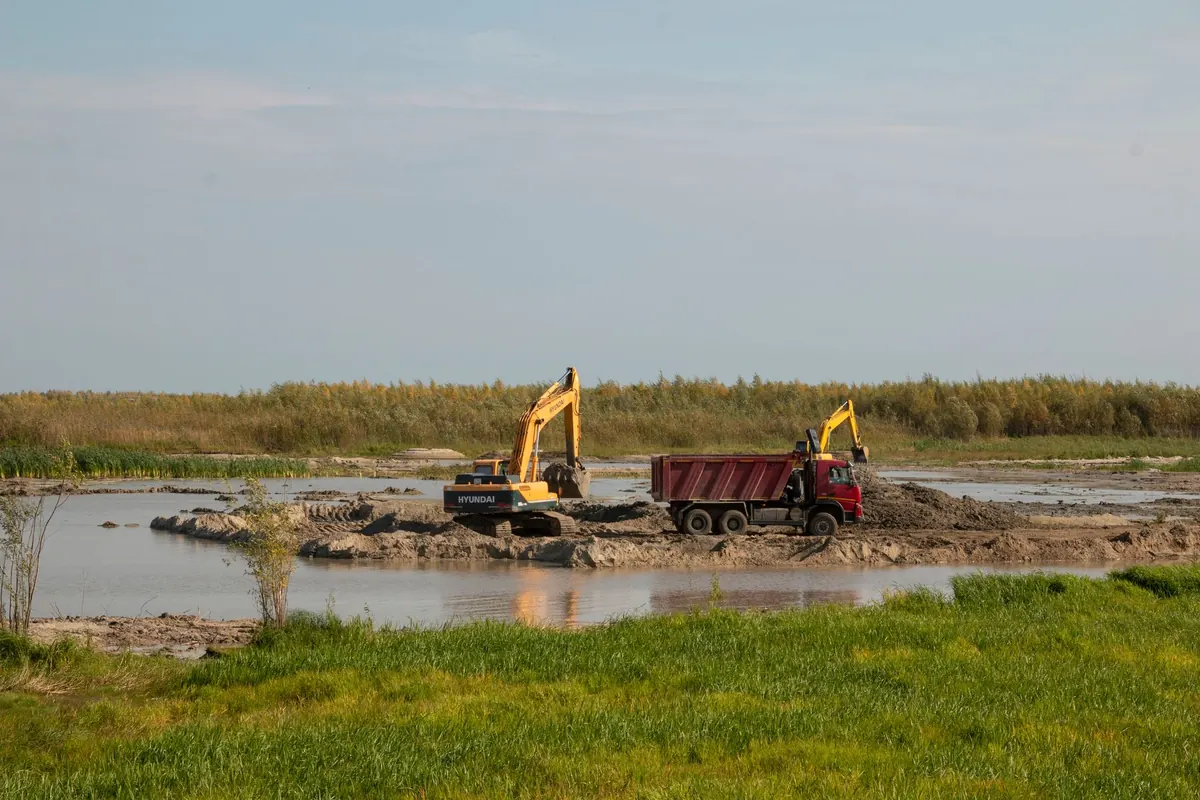 Natural vs. Constructed Wetlands: Which Is Better for Wildlife?