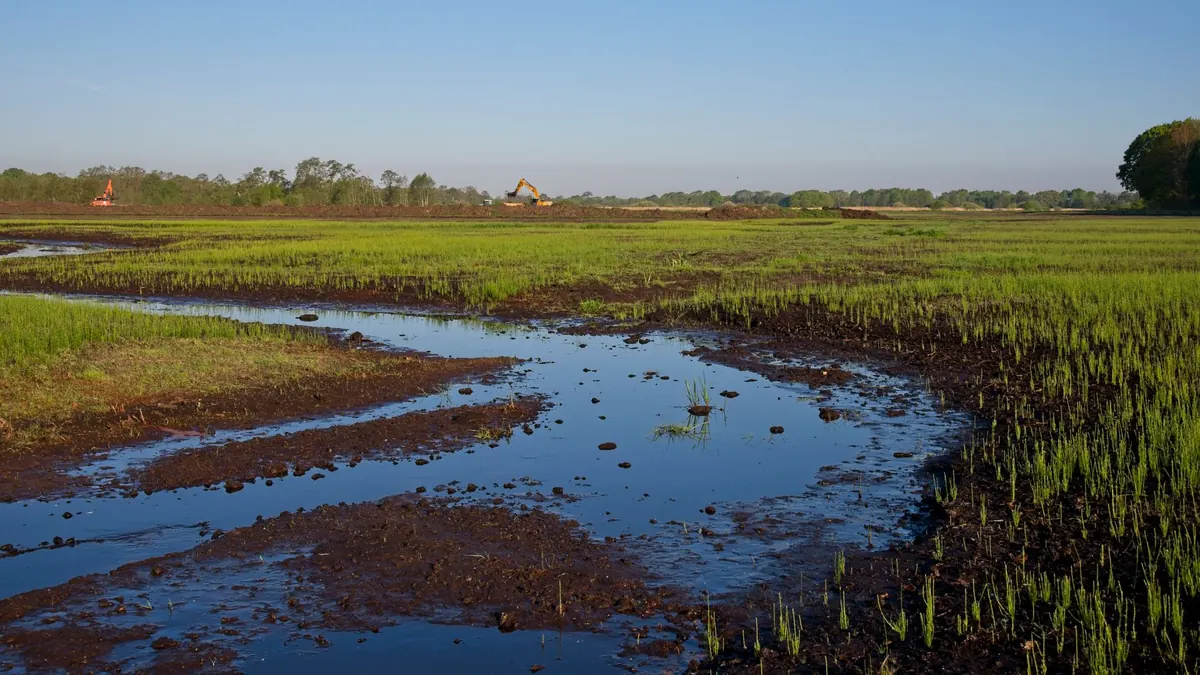 Wetland Restoration Site Assessment Checklist: 12 Things to Evaluate Before You Start
